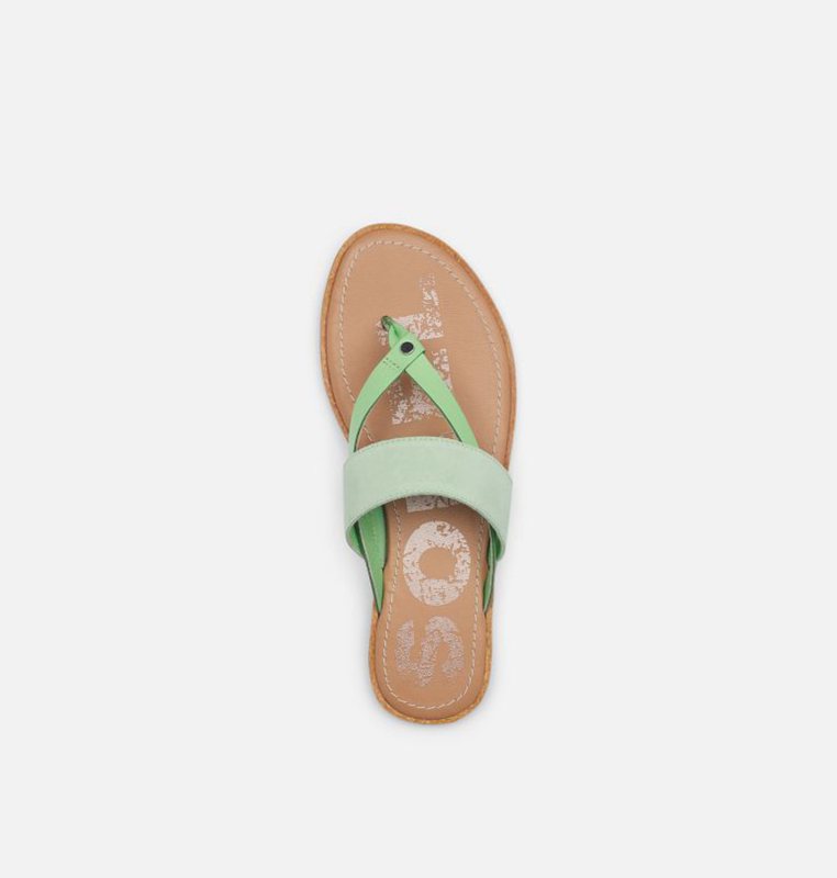 Womens Sandals Mint - Sorel Ella™ Flip Flat - 425-LNFYIM